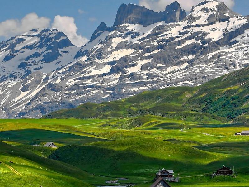 Prados y cumbres nevadas de los Alpes suizos
