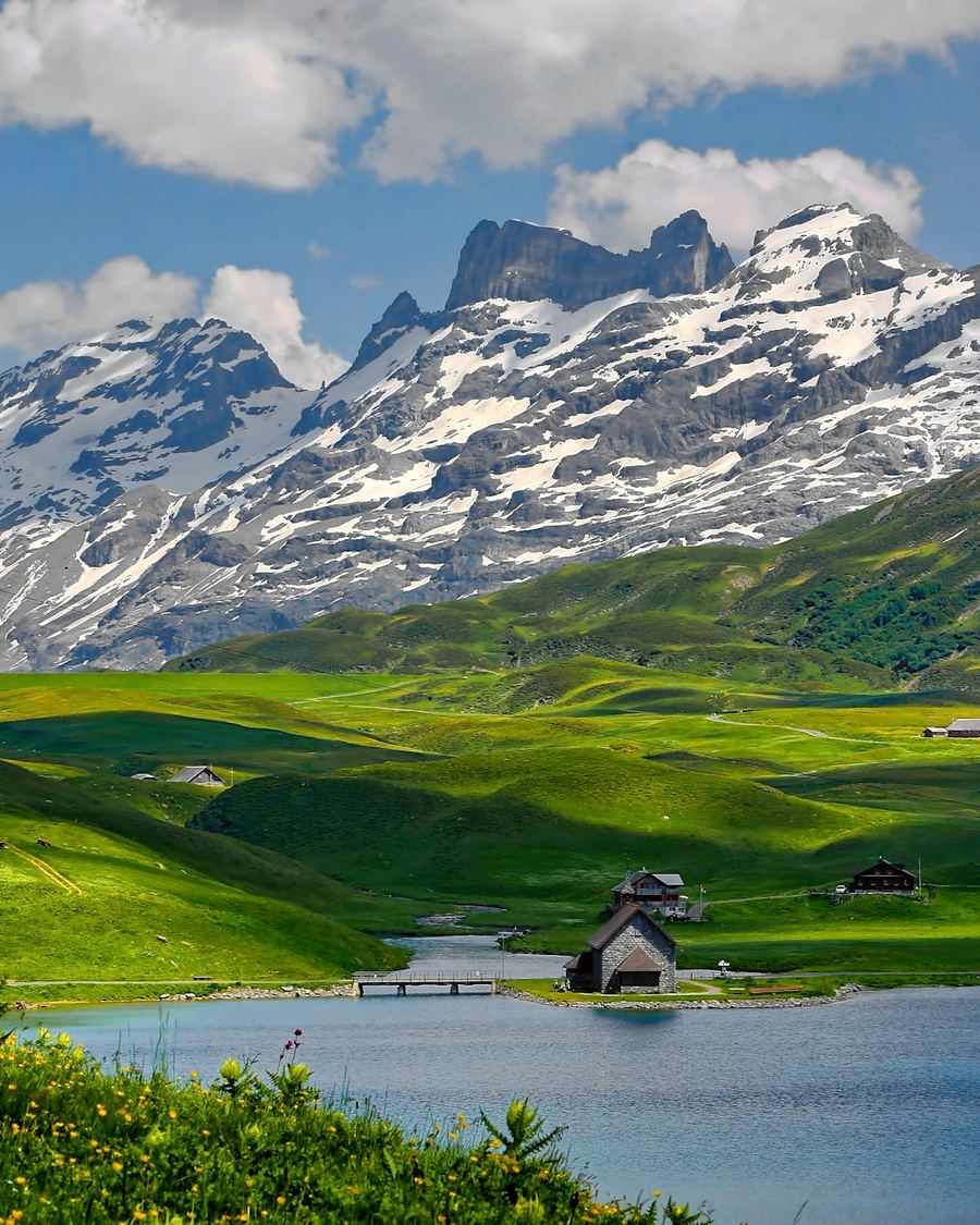 Prados verdes y cumbres nevadas de los Alpes suizos