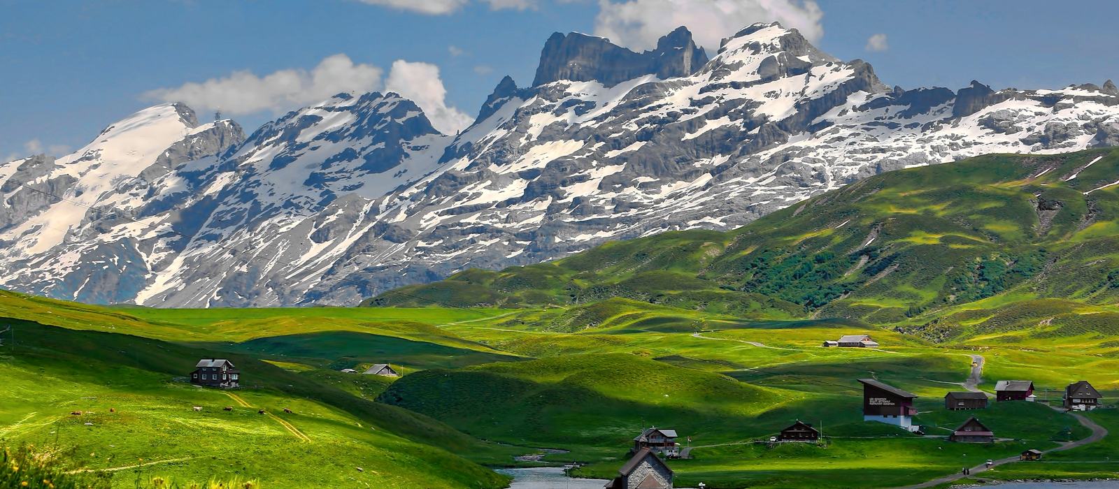 Prados y cumbres nevadas de los Alpes suizos